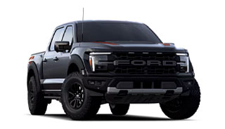 LOBO RAPTOR