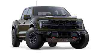 LOBO RAPTOR